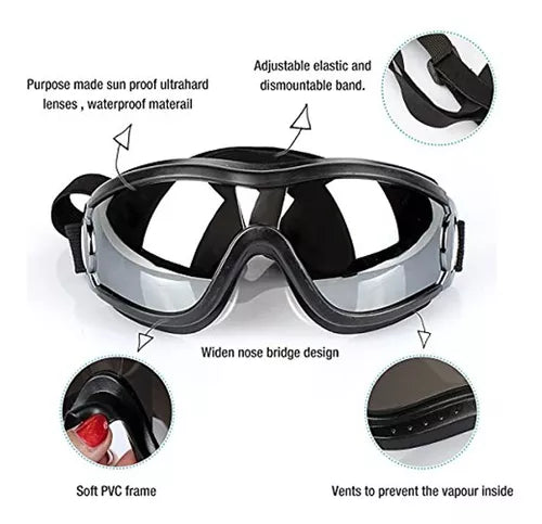Gafas para Perros