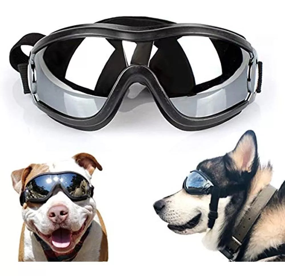 Gafas para Perros