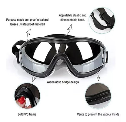 Gafas para Perros