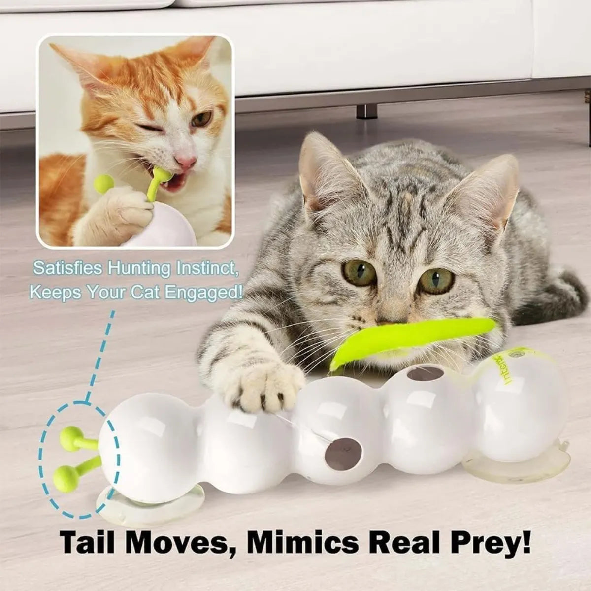 Juguete Para Gatos Whirlie DDD