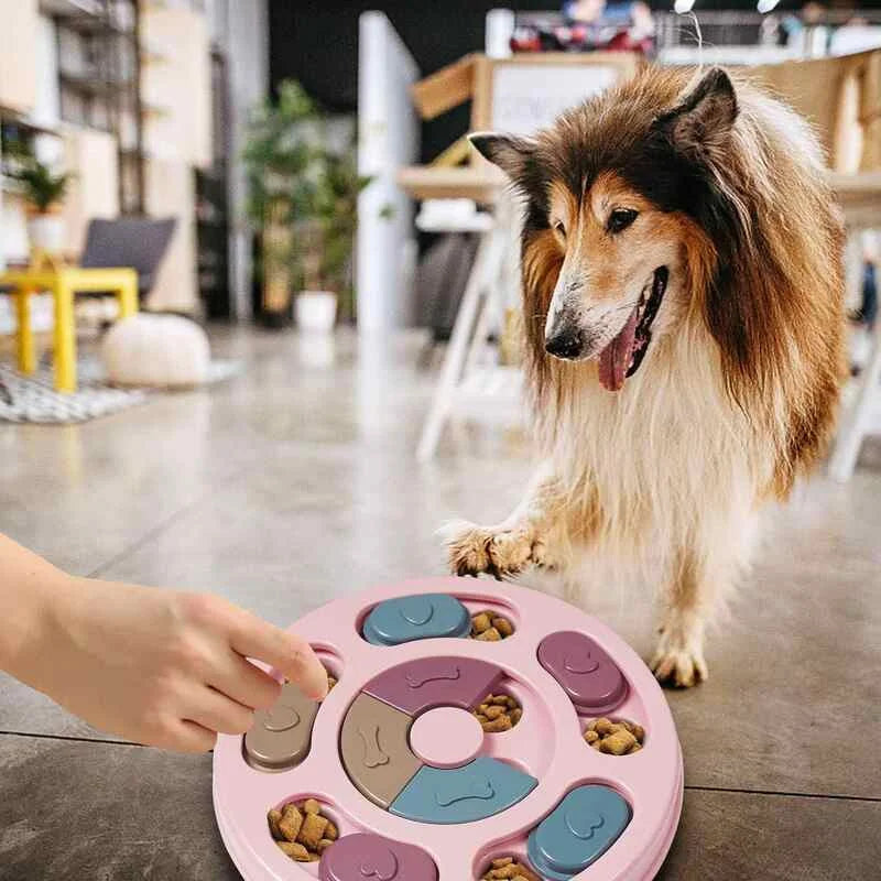 Comedero didactico para mascota tazon